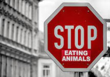 Meat advertising ban